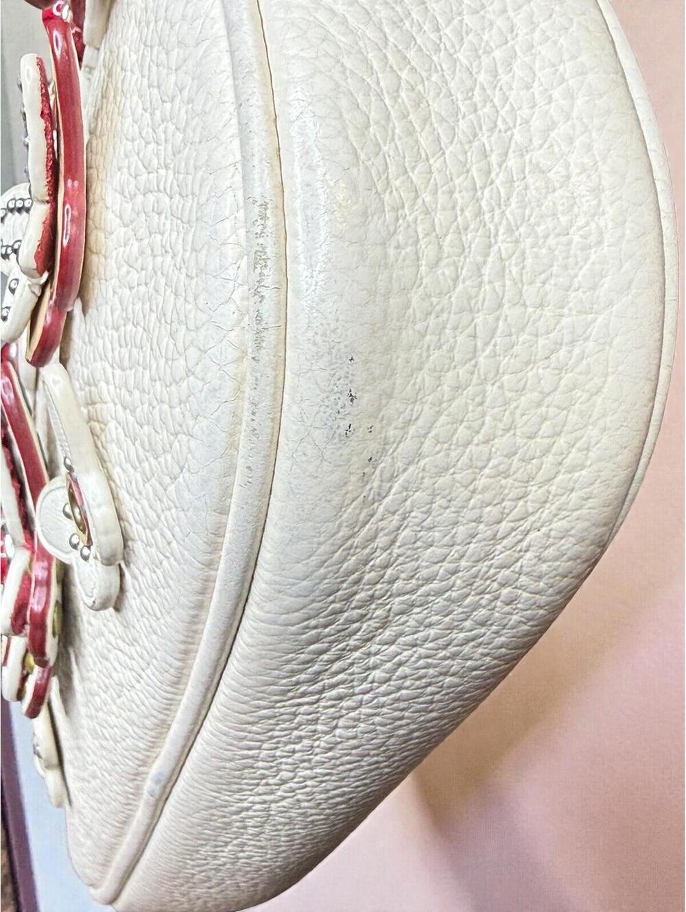 Coach Crossbody in Pebble Leather With Butterfly Applique - Picture 12 of 14